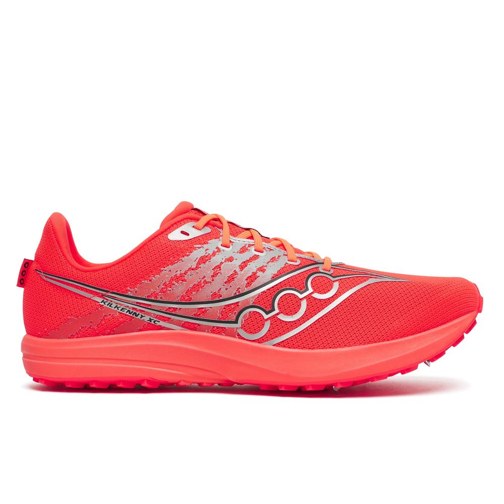 Vizired / Silver product image 1