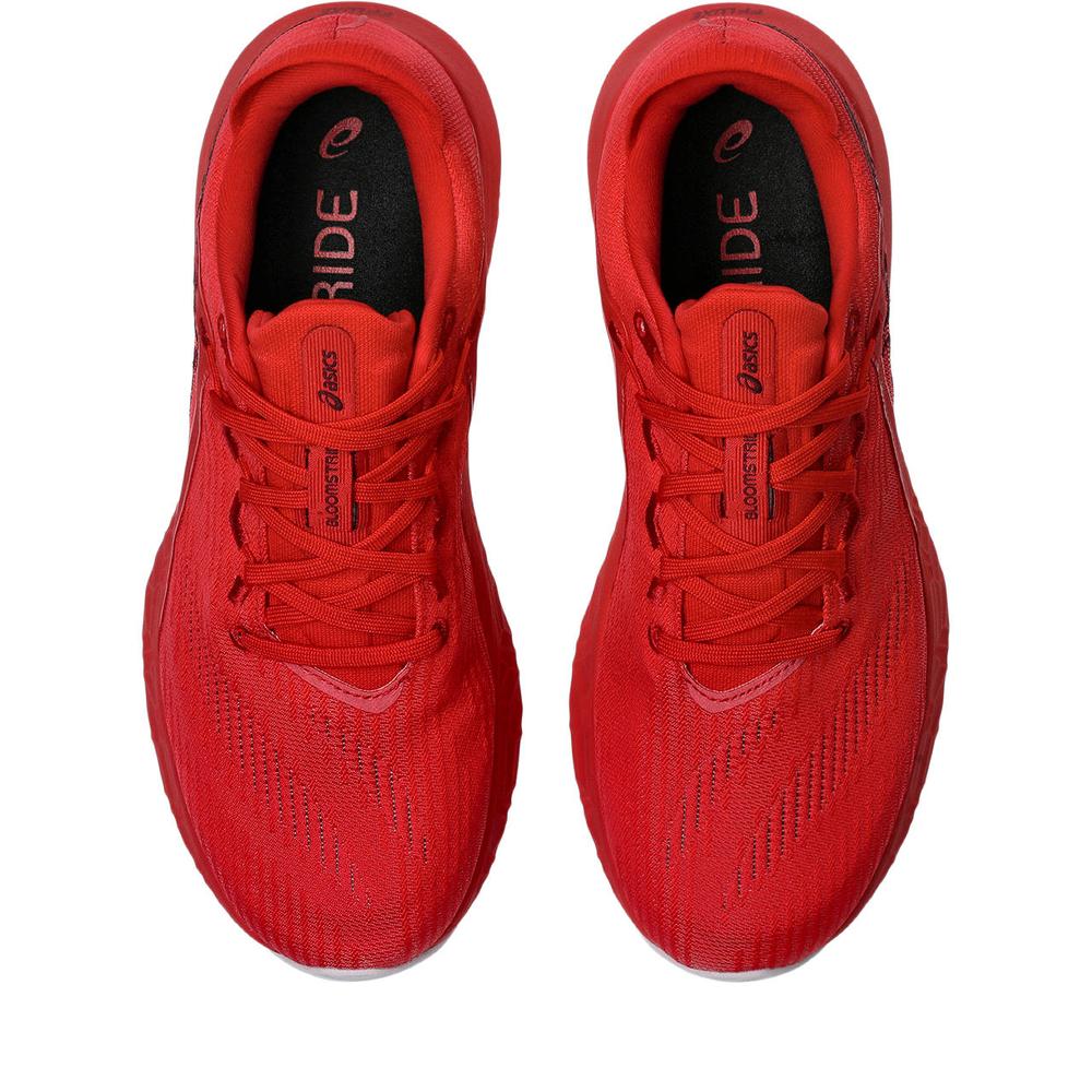 Speed Red / Beniimo Purple product image 3
