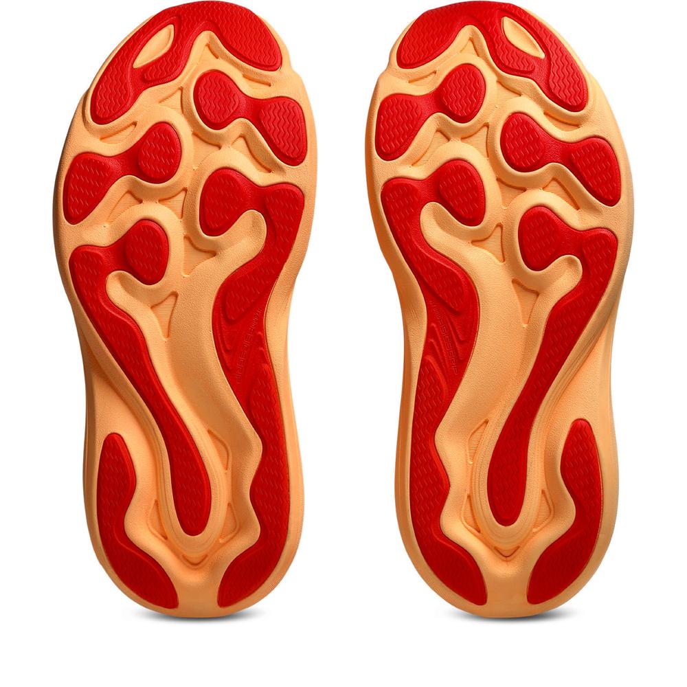 Orange Glow / Cherry Tomato product image 4