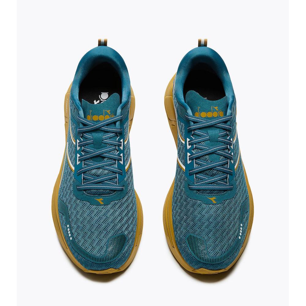 Colonial Blue / Harvest Gold product image 3