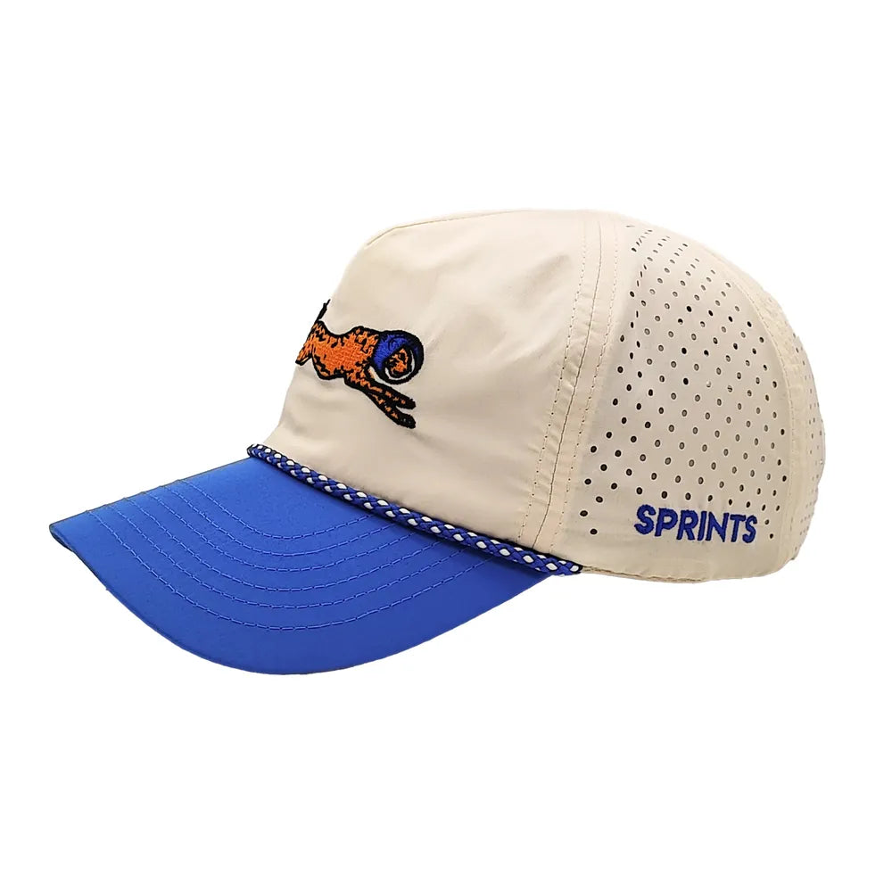 Victory Sprints product image 3