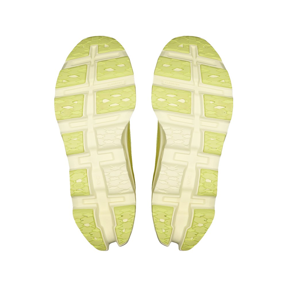 Limelight / Seedling product image 4