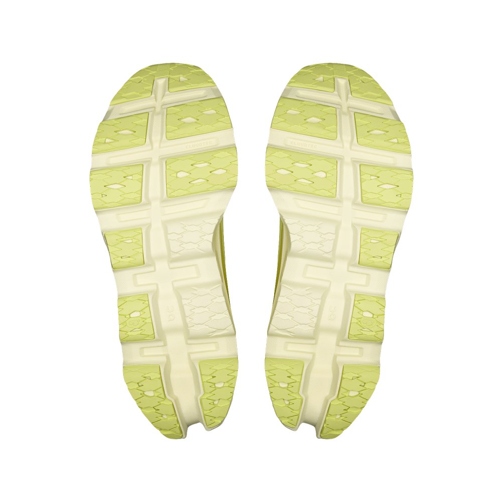 Limelight / Seedling product image 4