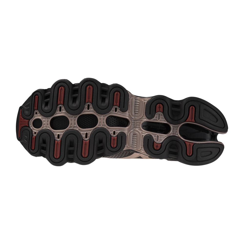 Black Bean-dystopic Ray product image 4