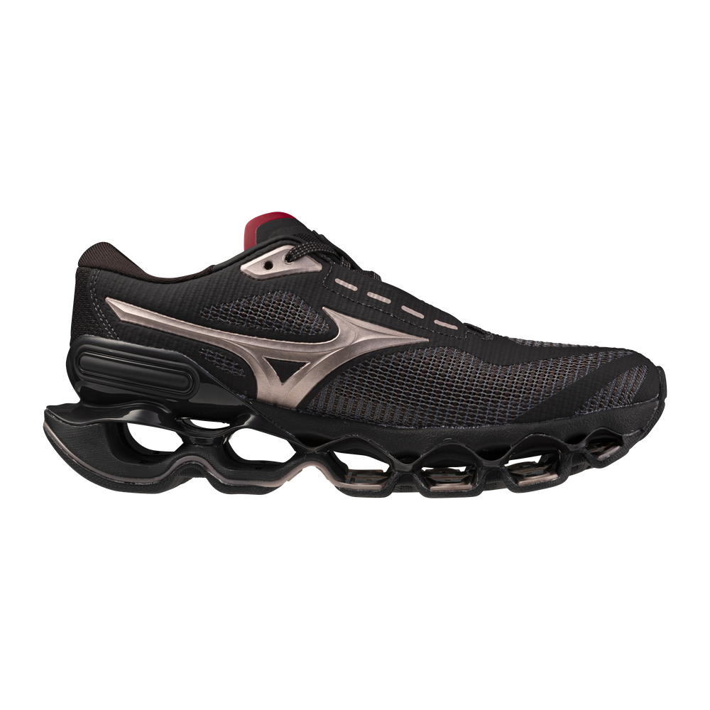 Black Bean-dystopic Ray product image 1