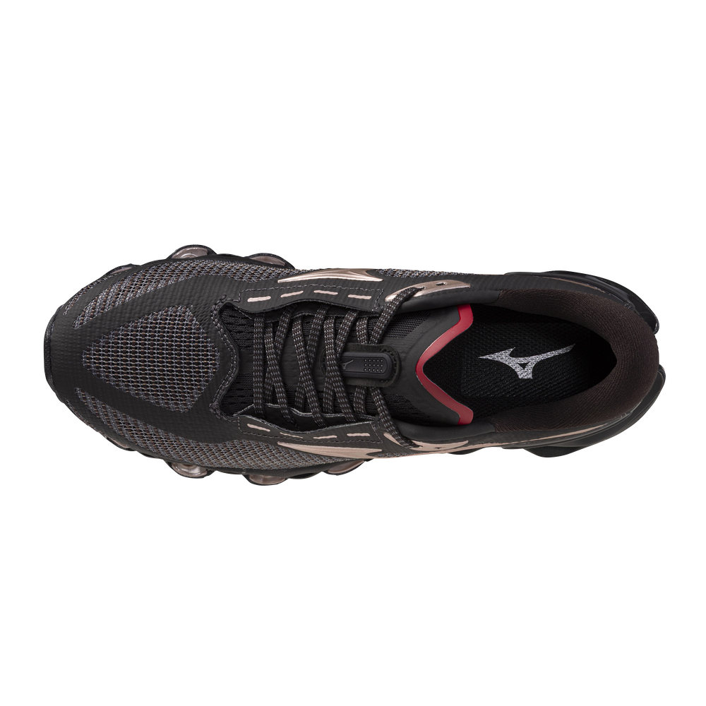 Black Bean-dystopic Ray product image 3