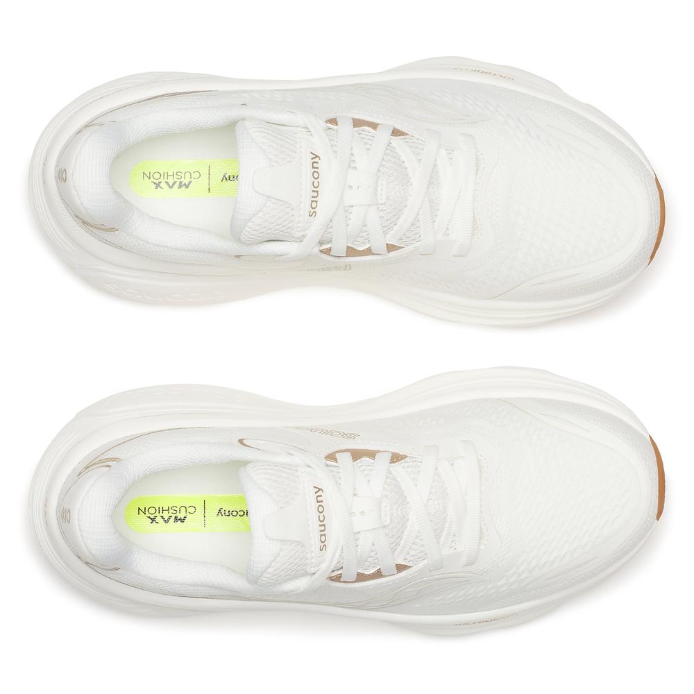Ivory / Gum product image 3