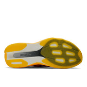 Satsuma Orange product image 4