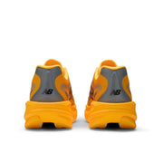 Satsuma Orange product image 5