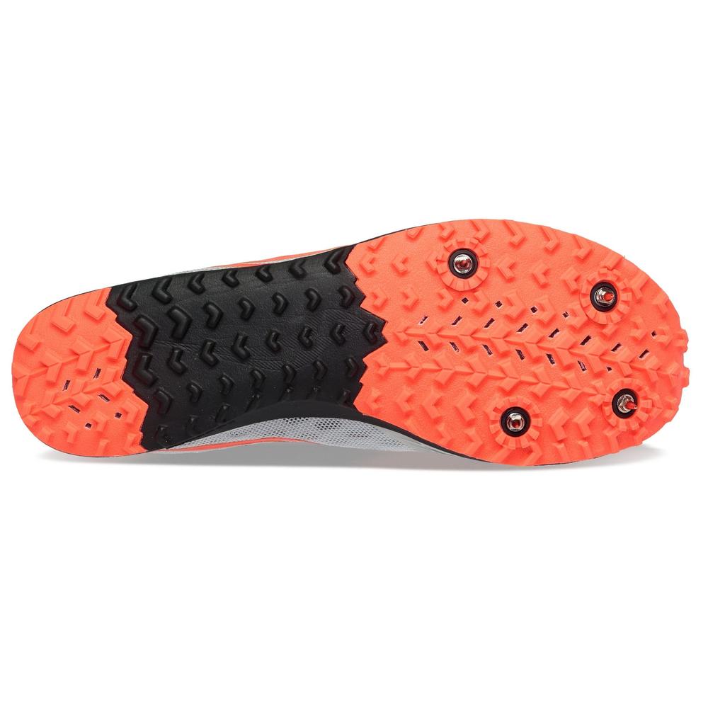 Fog / Black / Viz product image 4