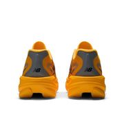 Satsuma Orange product image 5