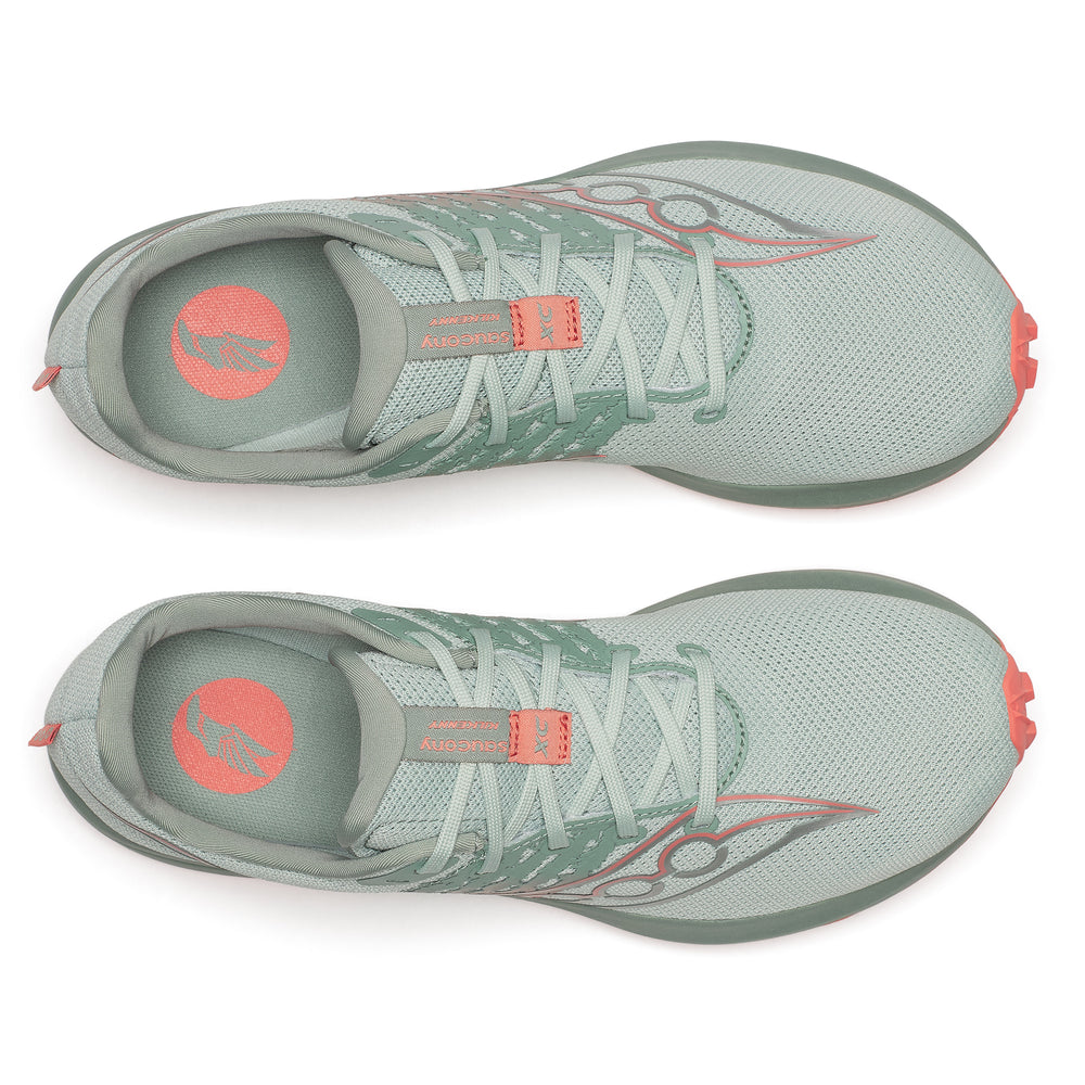 Iceberg product image 3