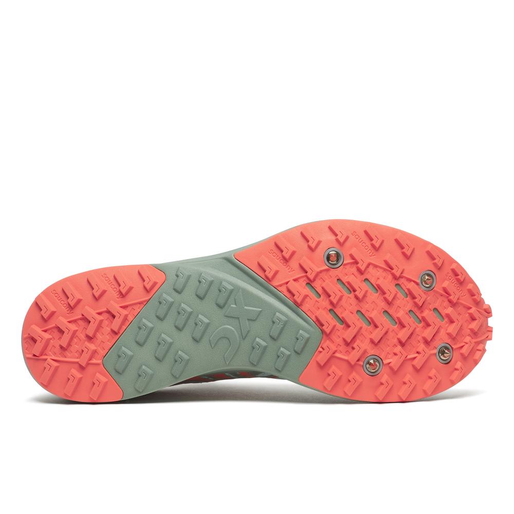 Iceberg product image 4