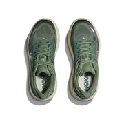 Succulent Fern product image 3
