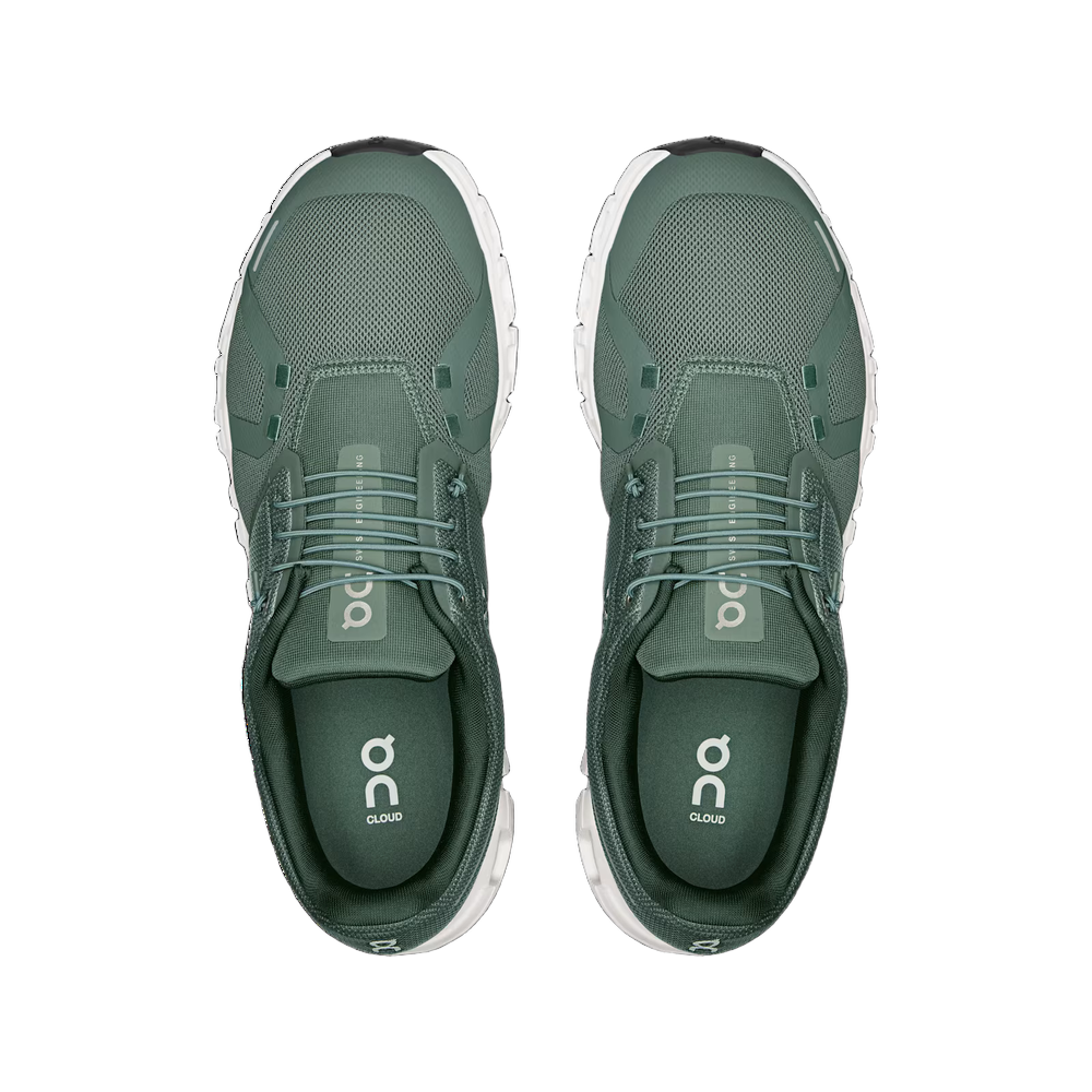 Olive Evergreen product image 3